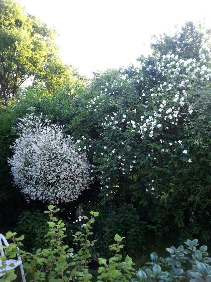 Ferienwohnung Morbach Kültér fotó